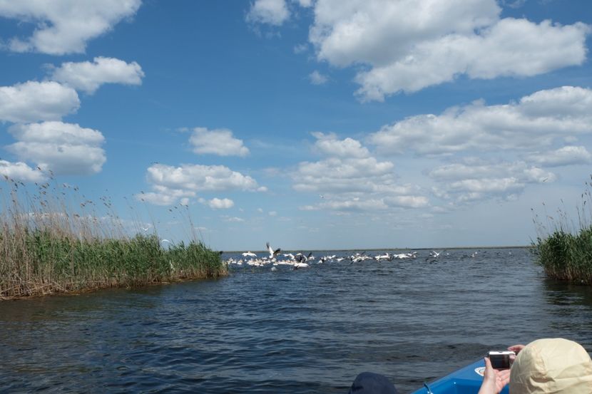 P5120641 - VIVATRONIK 2