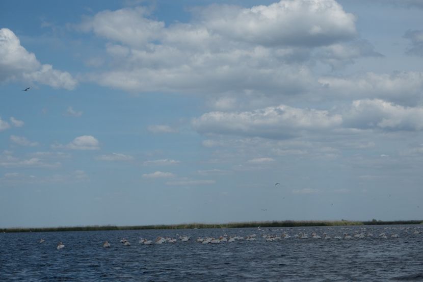 P5120663 - VIVATRONIK 2