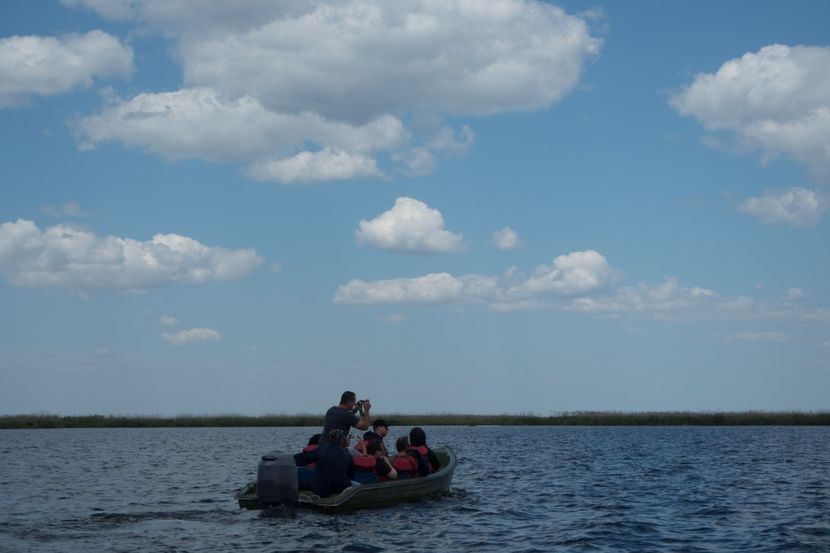 P5120666 - VIVATRONIK 2