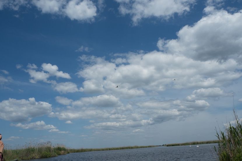 P5120677 - VIVATRONIK 2