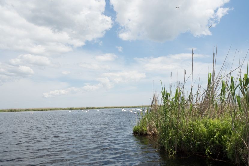 P5120678 - VIVATRONIK 2