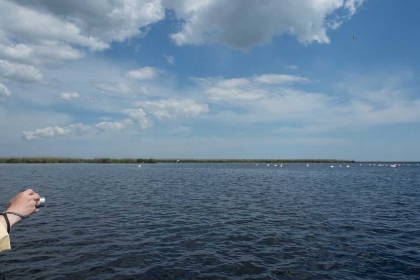 P5120689 - VIVATRONIK 2