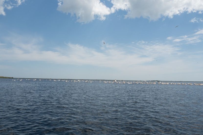 P5120690 - VIVATRONIK 2