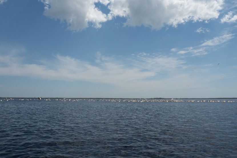 P5120691 - VIVATRONIK 2