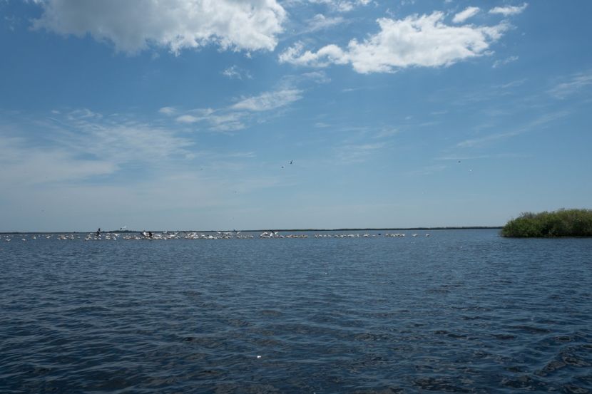 P5120692 - VIVATRONIK 2