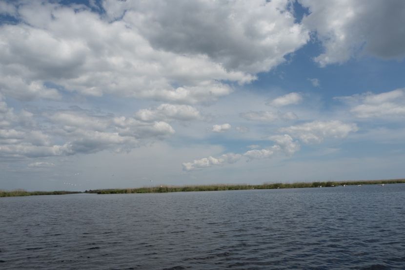 P5120694 - VIVATRONIK 2