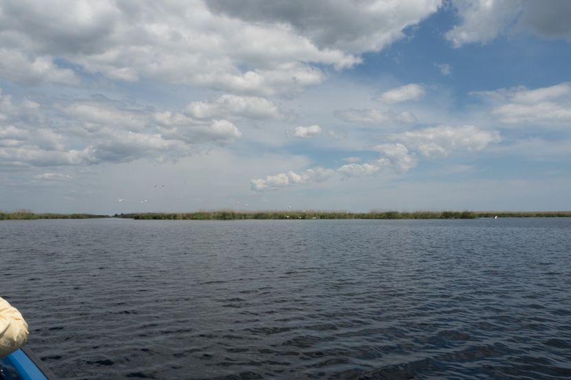 P5120695 - VIVATRONIK 2