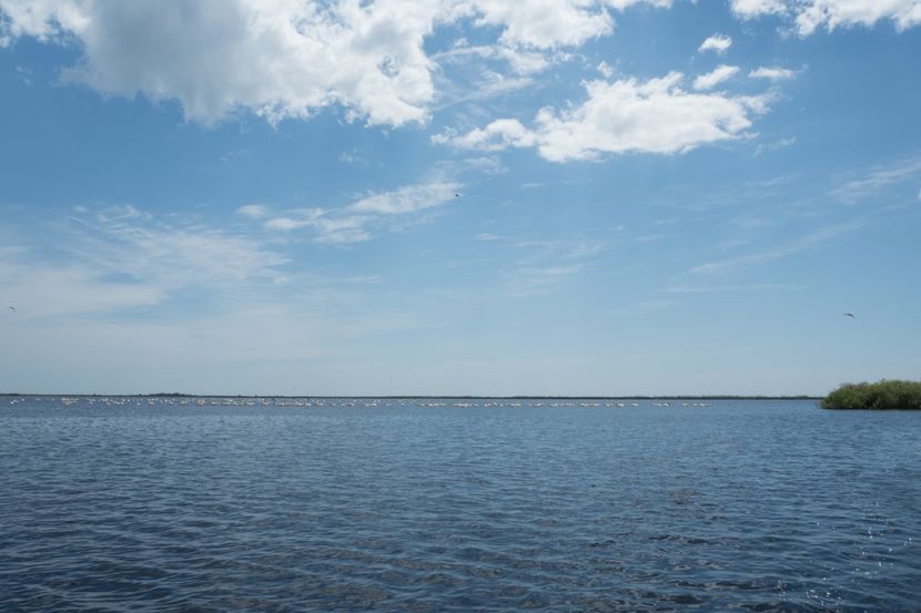 P5120696 - VIVATRONIK 2