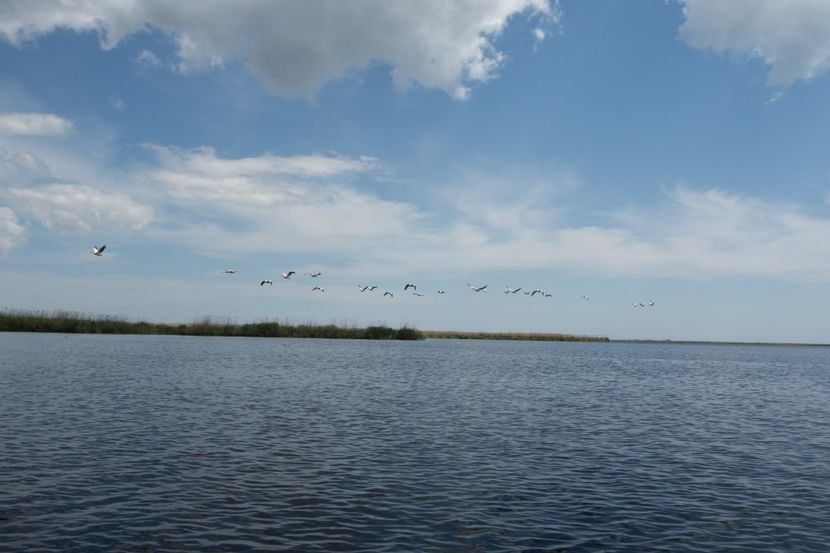 P5120699 - VIVATRONIK 2