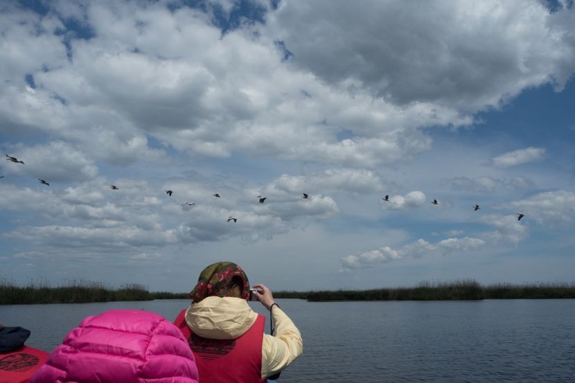 P5120700 - VIVATRONIK 2