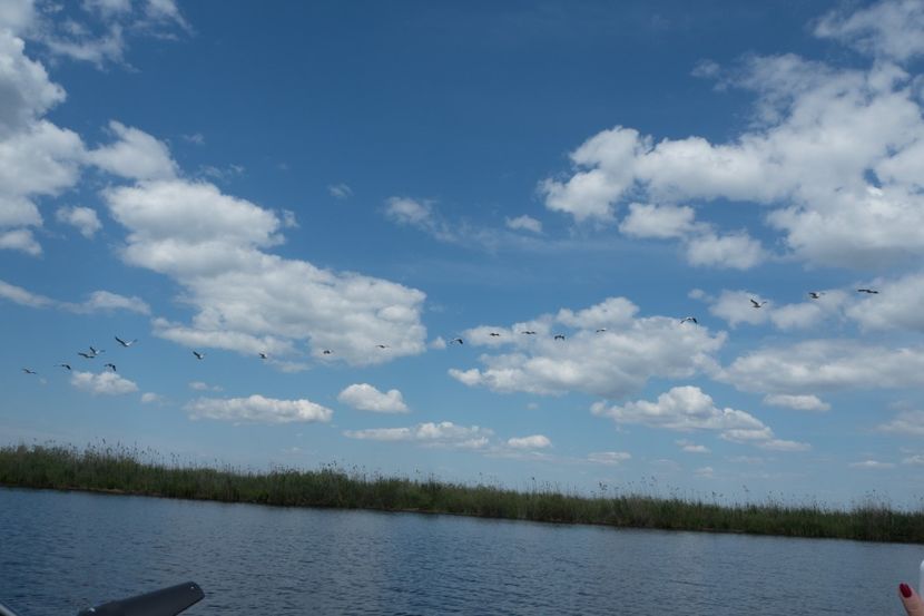 P5120701 - VIVATRONIK 2