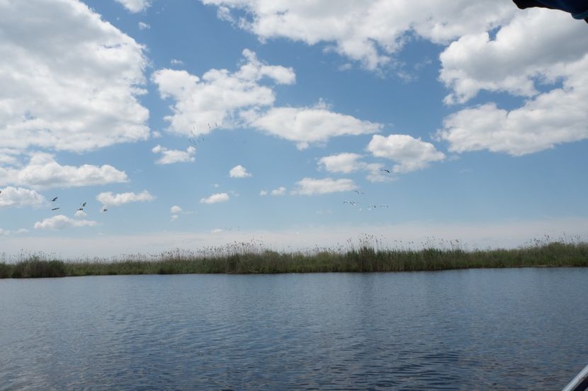 P5120703 - VIVATRONIK 2