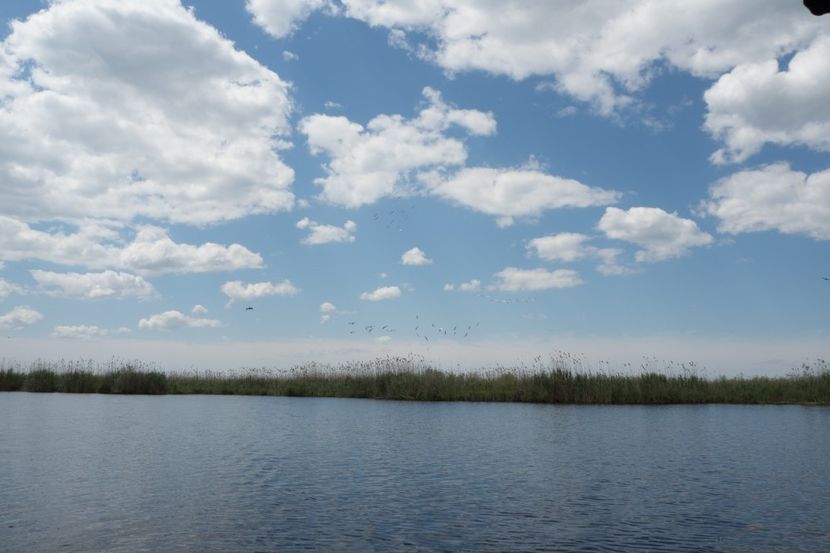 P5120704 - VIVATRONIK 2