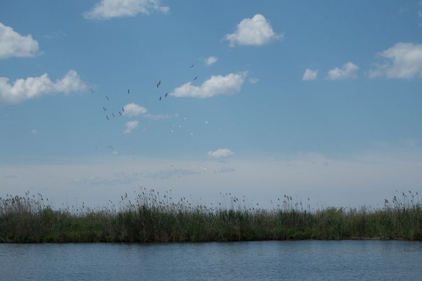 P5120706 - VIVATRONIK 2