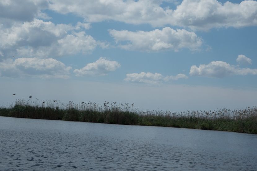 P5120707 - VIVATRONIK 2