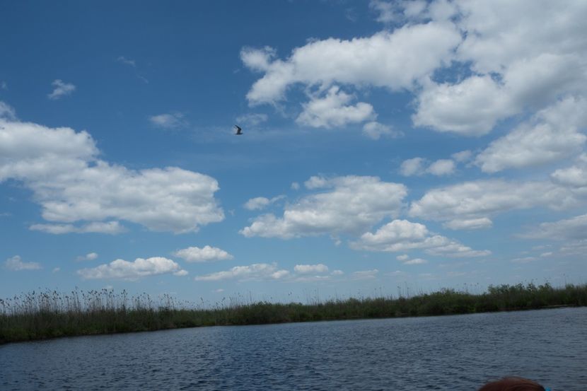 P5120709 - VIVATRONIK 2