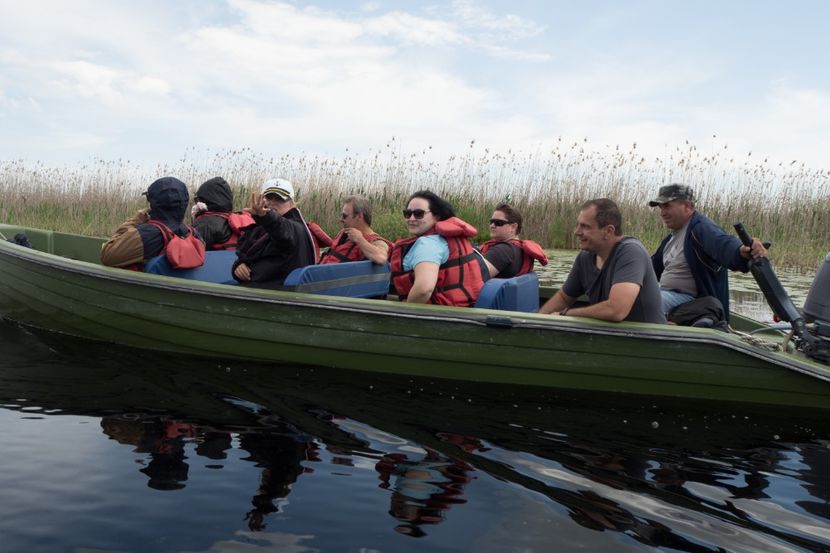 P5120710 - VIVATRONIK 2