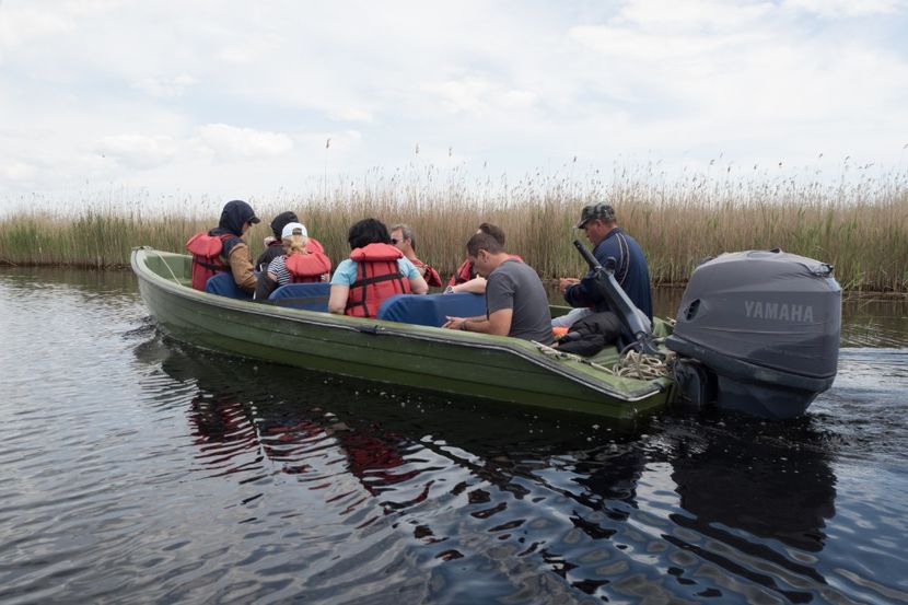 P5120711 - VIVATRONIK 2