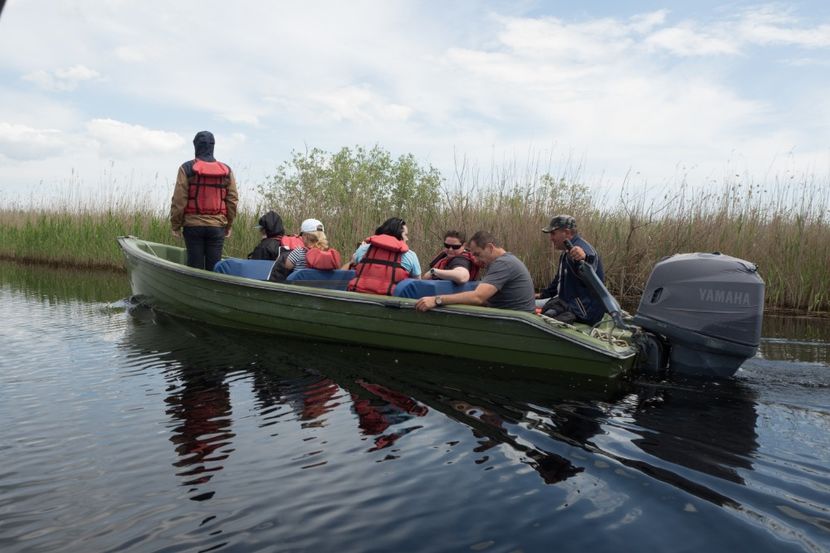 P5120713 - VIVATRONIK 2