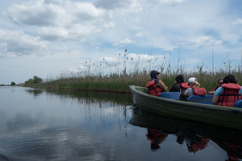 P5120715 - VIVATRONIK 2