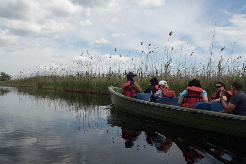 P5120716 - VIVATRONIK 2