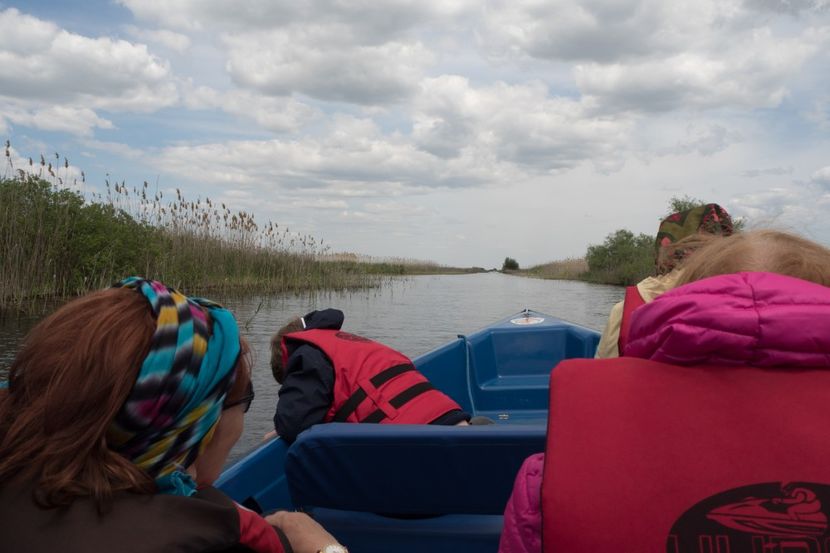 P5120717 - VIVATRONIK 2