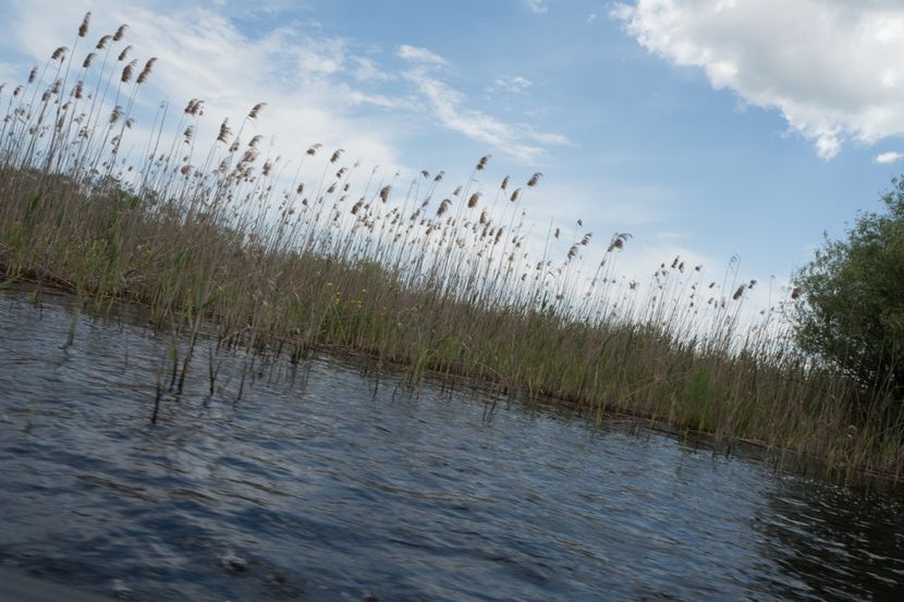 P5120719 - VIVATRONIK 2