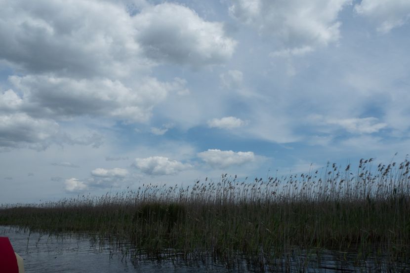 P5120720 - VIVATRONIK 2