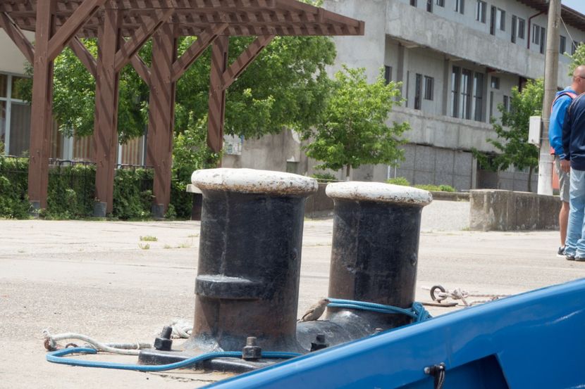 P5120722 - VIVATRONIK 2