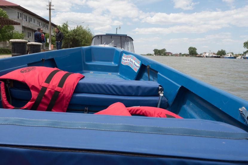 P5120726 - VIVATRONIK 2