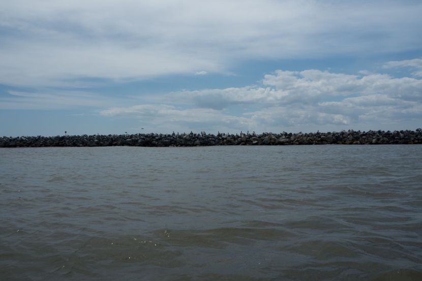 P5120747 - VIVATRONIK 2