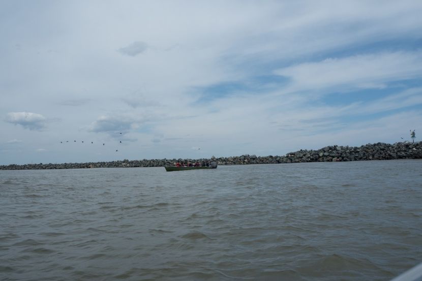 P5120748 - VIVATRONIK 2