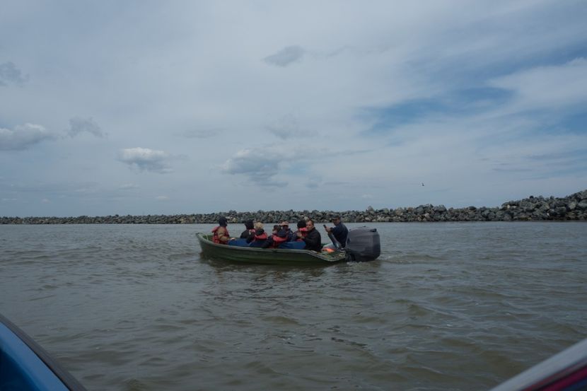 P5120749 - VIVATRONIK 2