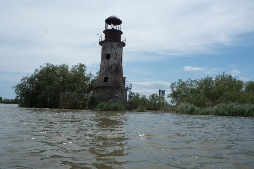 P5120753 - VIVATRONIK 2