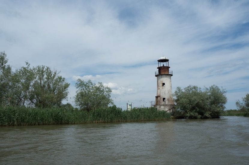 P5120755 - VIVATRONIK 2