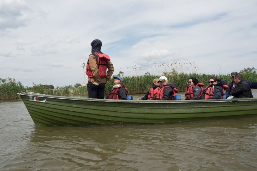 P5120756 - VIVATRONIK 2