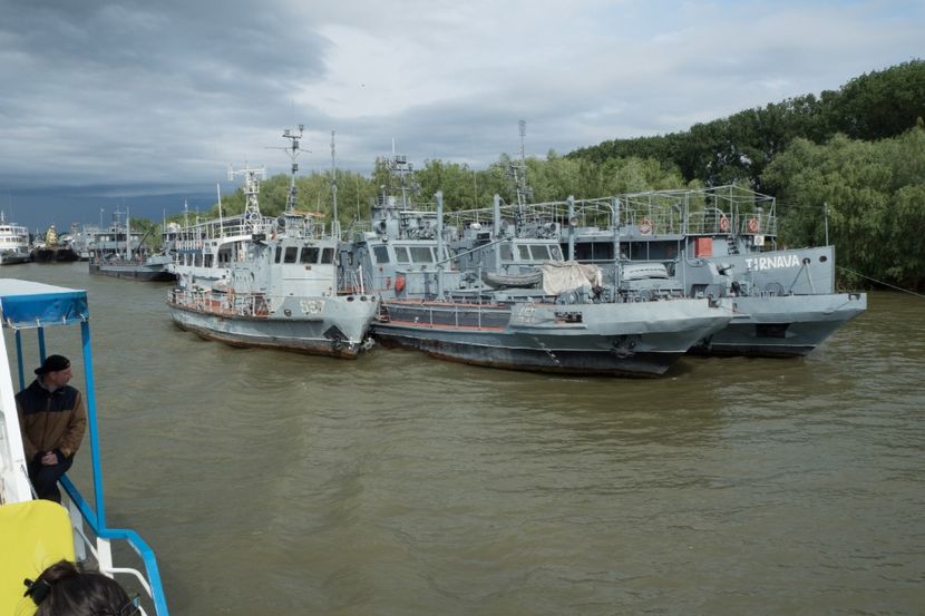 P5130825 - VIVATRONIK 2