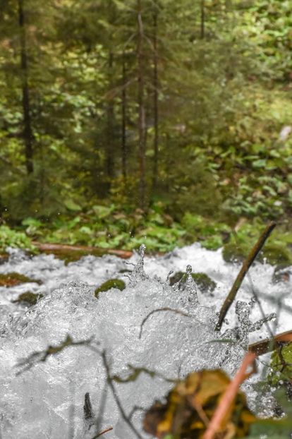  - 14 - Cascada 7 Izvoare - sept 2019