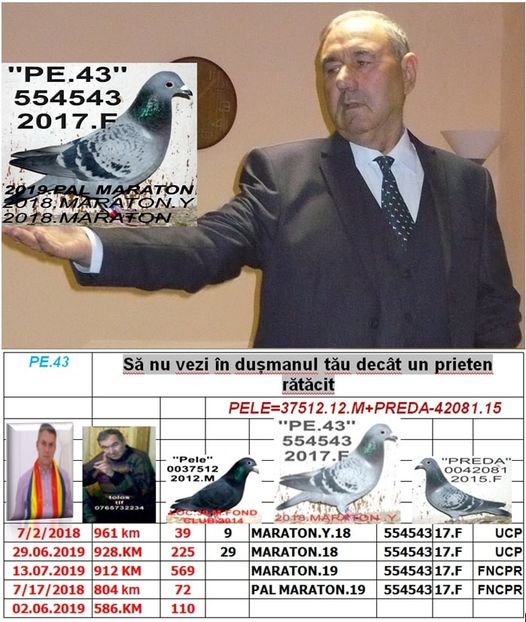 31.PE 543 - 2019 POZZE COLUMBOFILI