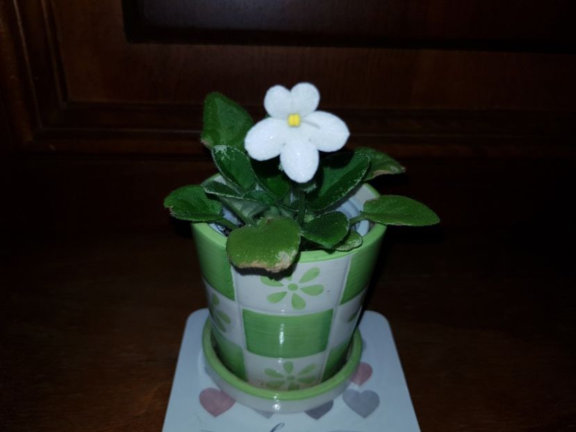 14.06.2019 - Alan s Fallen Angel