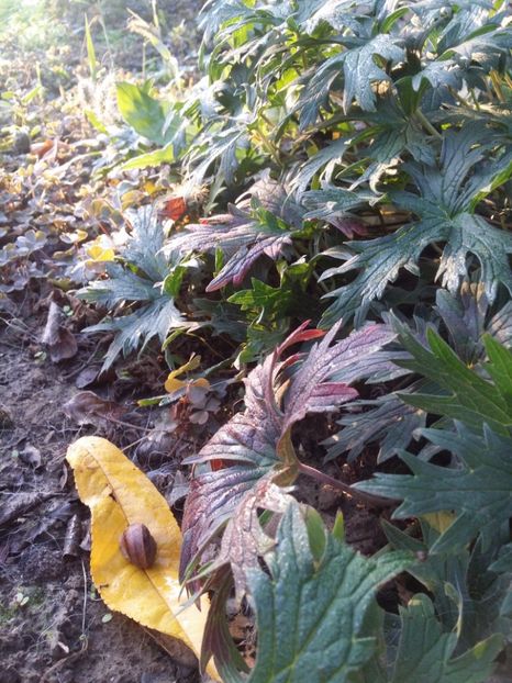  - curtea cu toate cele 2019