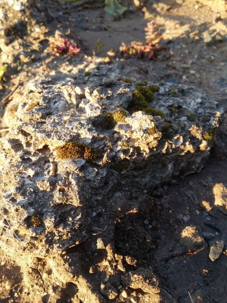  - curtea cu toate cele 2019