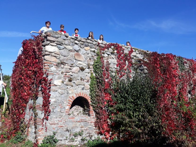  - 2019 - Excursie 12 octombrie