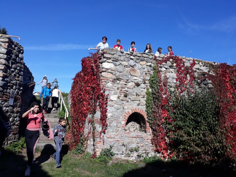  - 2019 - Excursie 12 octombrie