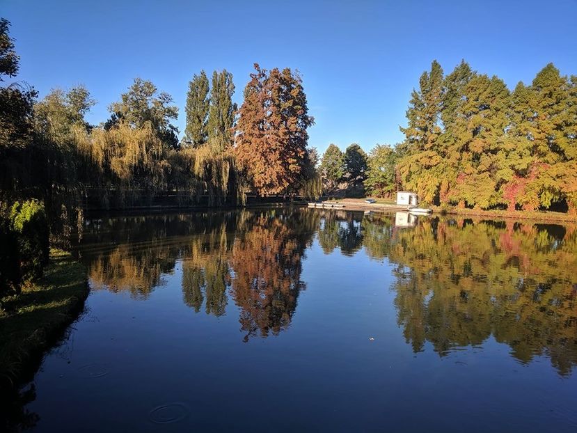  - 2019 - Excursie 12 octombrie