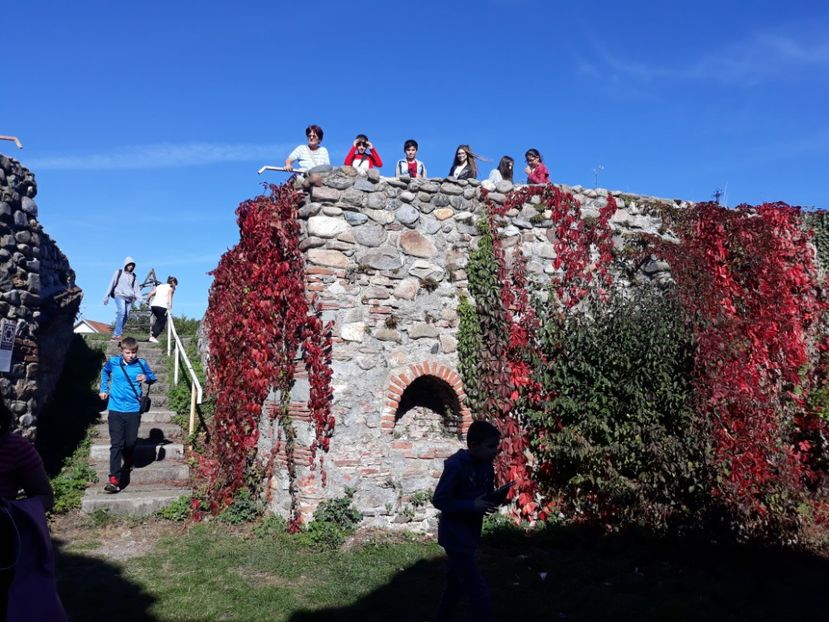  - 2019 - Excursie 12 octombrie