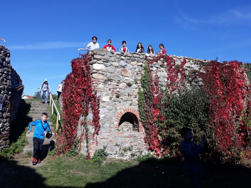  - 2019 - Excursie 12 octombrie