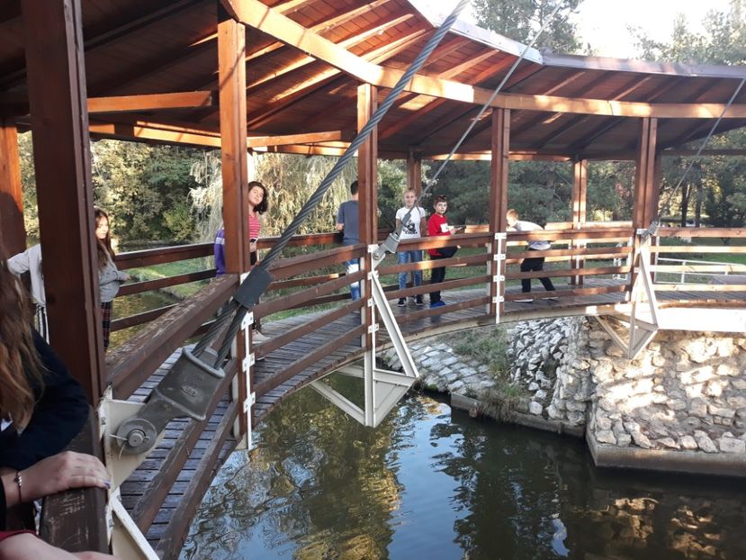  - 2019 - Excursie 12 octombrie
