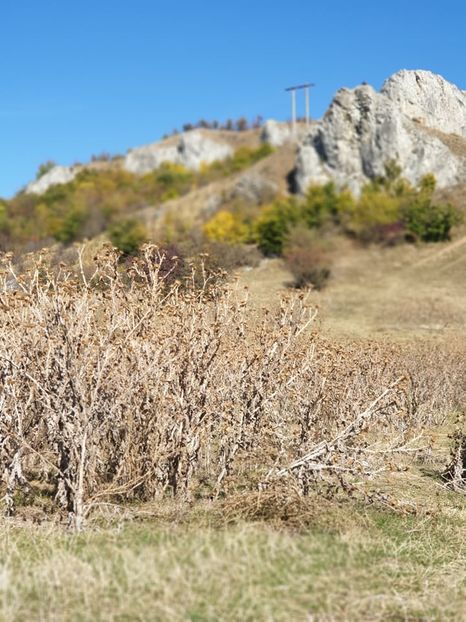  - 2019 EXCURSIE DE TOAMNA LITA LITENI 13 OCT