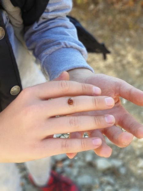  - 2019 EXCURSIE DE TOAMNA LITA LITENI 13 OCT